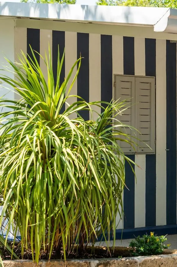 Hotel La Conchiglia Chioggia